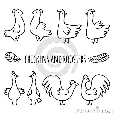 Chickens and roosters Vector Illustration