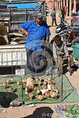Chickens for sale in Morocco market Editorial Stock Photo