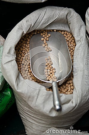 Chickpea Stock Photo