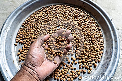 The chickpea or chick pea (Cicer arietinum) is an annual legume of the family Fabacea.s Stock Photo