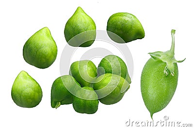 Chickpea Desi Cicer arietinum, paths Stock Photo