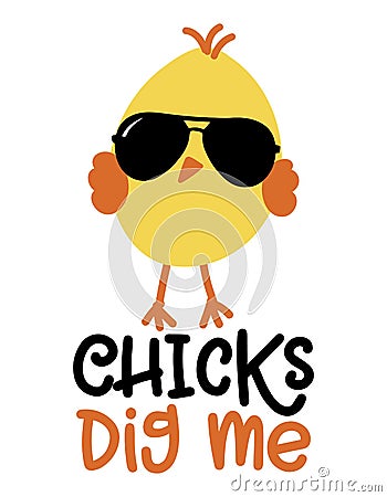 Chicks dig me - Cute chick saying. Funny calligraphy for spring holiday or Easter egg hunt. Vector Illustration