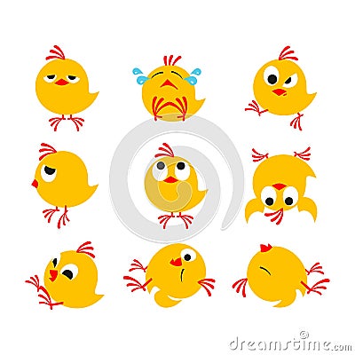 Chicks Vector Illustration