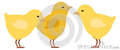 Chicks standing. Farm animals. Cute little chickens Stock Photo