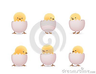 Chicks in white broken eggs bottom set Vector Illustration
