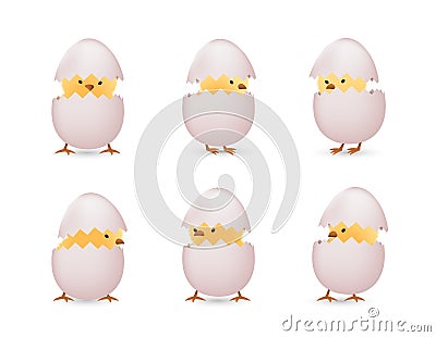 Chicks in white broken eggs set Vector Illustration