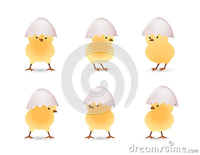 Chicks in white broken eggs top set Vector Illustration