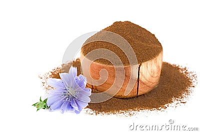 Chicory flower and powder of instant chicory isolated on a white background. Cichorium intybus. Stock Photo