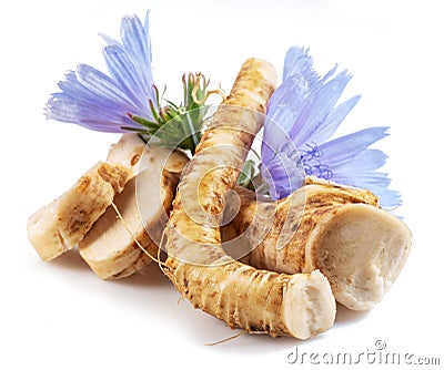 Chicory flowers and roots close up on the white background Stock Photo