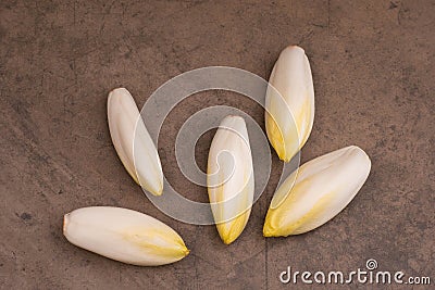 Chicory salad on a brown textured background, empty copy space Stock Photo