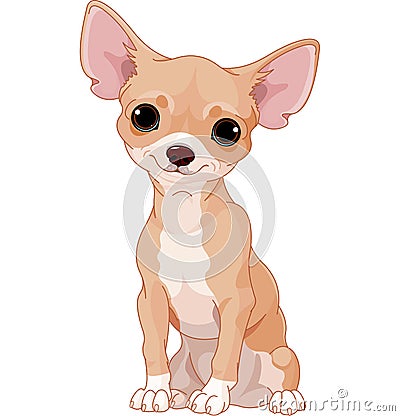 Chihuahua Vector Illustration