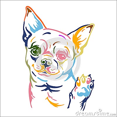 Chihuahua dog vector color contour portrait vector Vector Illustration
