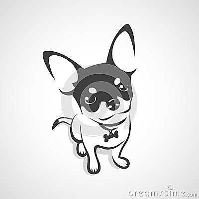 Chihuahua dog - vector illustration Vector Illustration