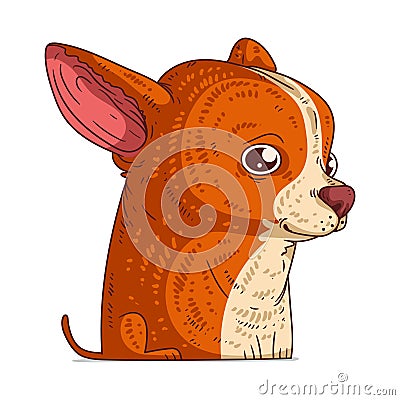 A Chihuahua, isolated vector illustration. Cute cartoon picture for children. A small amiable dog. Drawn animal sticker art. Vector Illustration