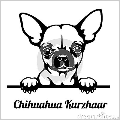 Chihuahua Kurzhaar - Peeking Dogs - breed face head isolated on white Vector Illustration