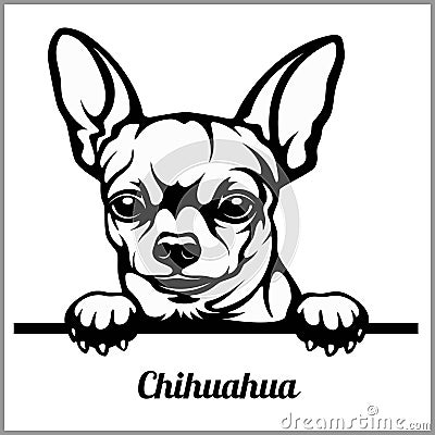 Chihuahua - Peeking Dogs - - breed face head isolated on white Vector Illustration