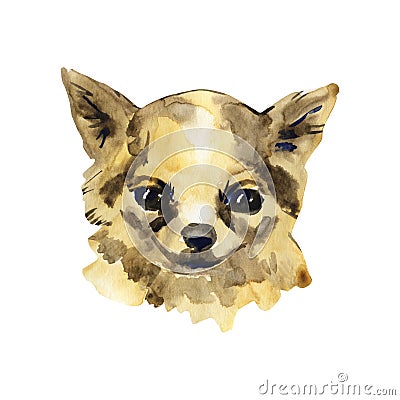 The Chihuahua is popular mini dog. Head of a toy terrier on watercolor background. Watercolor Animal collection: Dogs Stock Photo