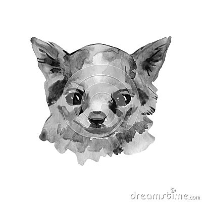 The Chihuahua is popular mini dog. Head of a toy terrier on watercolor background. Watercolor Animal collection: Dogs Stock Photo