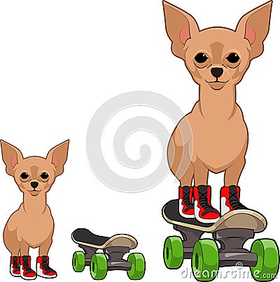 Chihuahua on Skateboard Mascot Vector Illustration