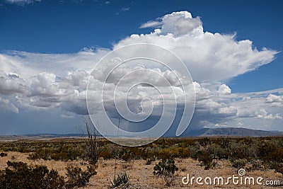 Chihuahuan Desert Desolation Stock Photo