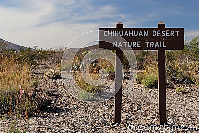 Chihuahuan Desert Nature Trail Stock Photo