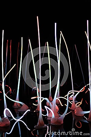Chihuly Garden and Glass Editorial Stock Photo