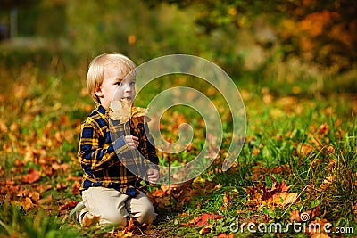 The child is a blond boy with autumn leaves. Happy child dreams outdoors in autumn. Dreams of children in autumn Park Stock Photo
