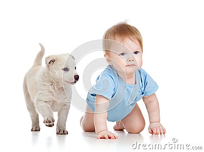 Child boy and dog puppy playing and crawling Stock Photo