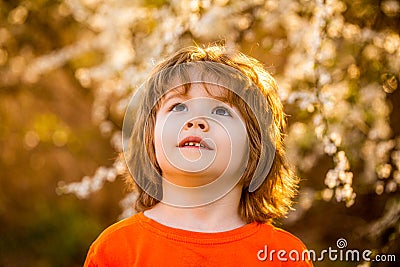 Child, boy, spring, sun. Happy little boy walking in spring garden. Spring activity for inquisitive children. Little boy Stock Photo