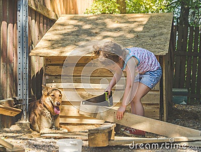 The child builds the booth for dogs Stock Photo