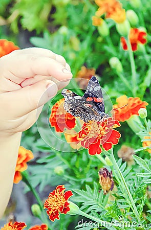 Child with a butterfly. Selective focus. nature Stock Photo