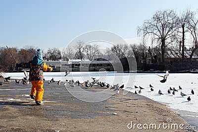Child chasing pigeons Stock Photo