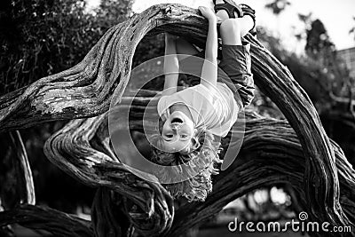 Child climbing tree. Smiling funny kid clim tree in the garden. Stock Photo