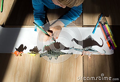 Child concentrates on the contour of the shadows from the figures of toy dinosaurs, development of fine motor skills Stock Photo