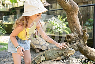 child in a contact zoo touch a sleeping iguana, Bali, Indonesia Stock Photo