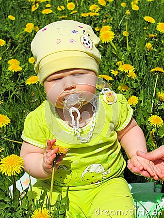 Child of dandelions Stock Photo