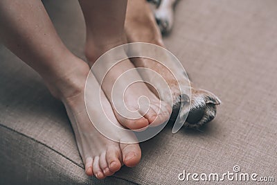 Child and dog concept. Baby feet and dog paws closeup. Stock Photo