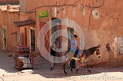 Child on a donkey Editorial Stock Photo