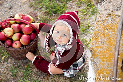 Child eating apples in a village in autumn. Little baby boy play Stock Photo