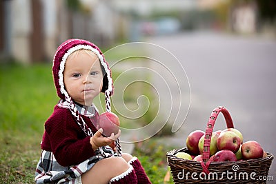 Child eating apples in a village in autumn. Little baby boy play Stock Photo