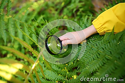 Child is exploring nature with magnifying glass. Little boy is looking on leaf of fern with magnifier. Summer vacation for Stock Photo