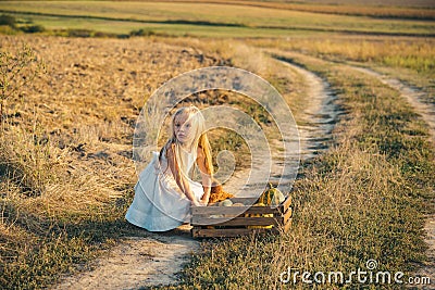 Child farmer in the farm with countryside background. Happy little farmer having fun on field. Child harvesting on the Stock Photo