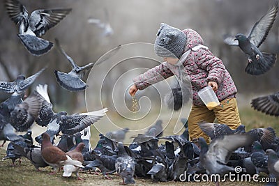 Child feeding a crowd of grey and two brown pigeons Stock Photo