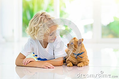 Child feeding home cat. Kids and pets Stock Photo