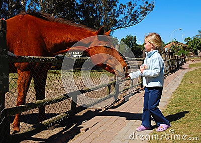 Child feeding horse Stock Photo