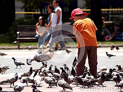 Child feeding pigeons Editorial Stock Photo