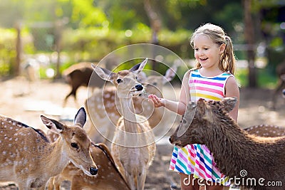 Child feeding wild deer at zoo. Kids feed animals Stock Photo