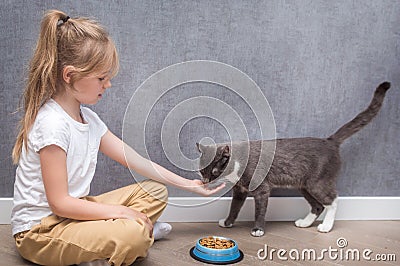 Child feeds his cat with dry food. Portrait on a gray background Stock Photo