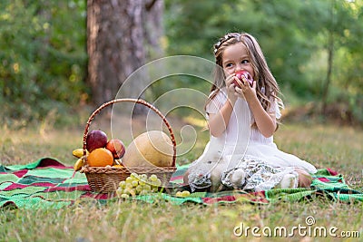 Child on forest picnic eating apple. Toddler kid in sunny park or garden. Little girl enjoying leisure. Stock Photo