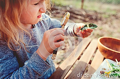 Child girl exploring nature in early spring forest. Kids learning to love nature. Teaching children about seasons changing. Stock Photo